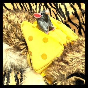 The Big Cheese Pet Costume